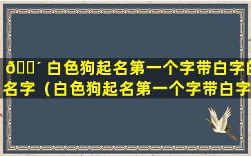 🌴 白色狗起名第一个字带白字的名字（白色狗起名第一个字带白字的名字有哪些）